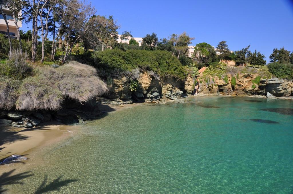 Renia Studios Agia Pelagia  Bagian luar foto