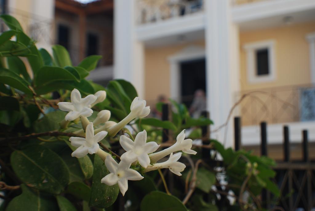 Renia Studios Agia Pelagia  Bagian luar foto